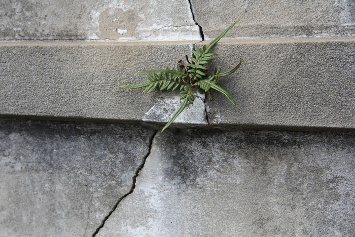 patching cracks in concrete